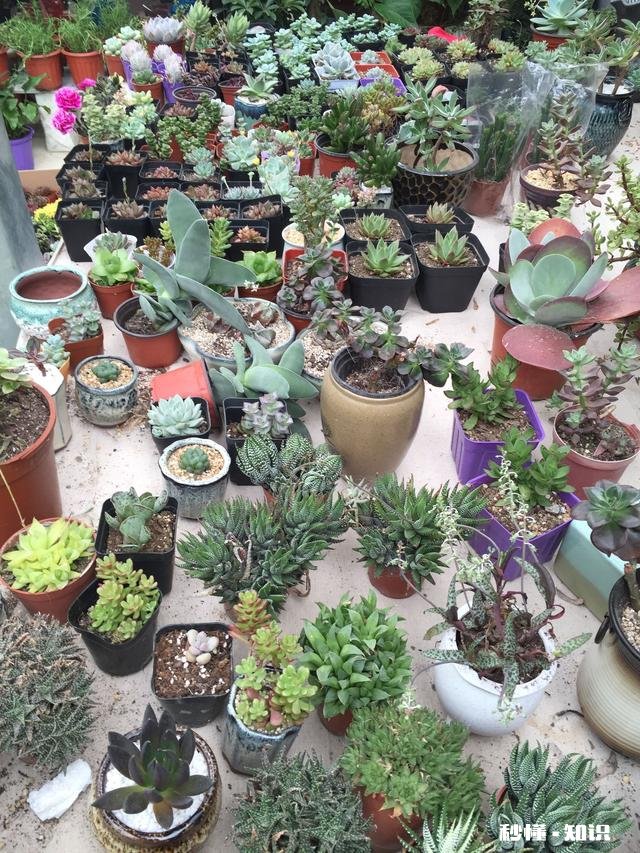 合肥清溪小镇适合儿童游玩吗