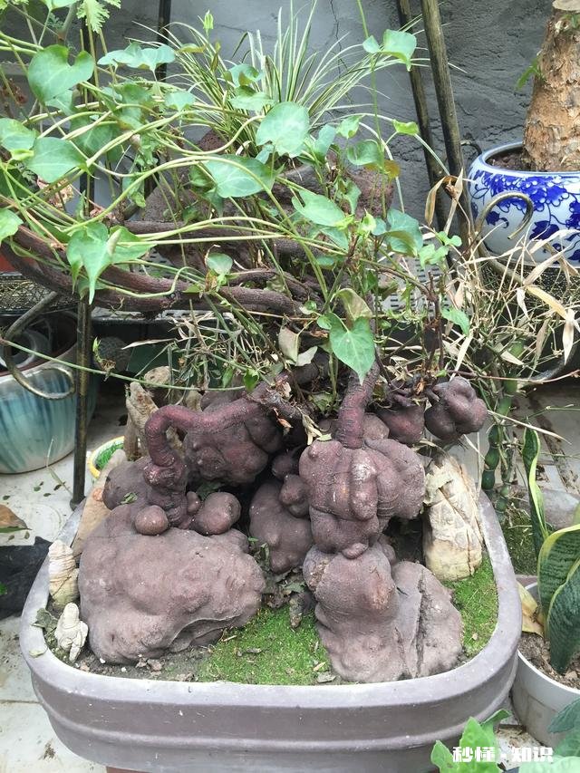 合肥清溪小镇适合儿童游玩吗