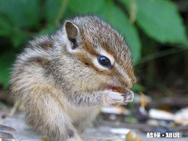 合肥清溪小镇适合儿童游玩吗