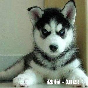 合肥清溪小镇适合儿童游玩吗