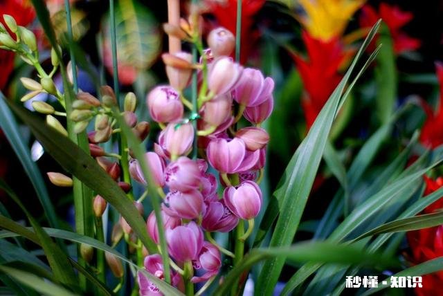 合肥清溪小镇适合儿童游玩吗