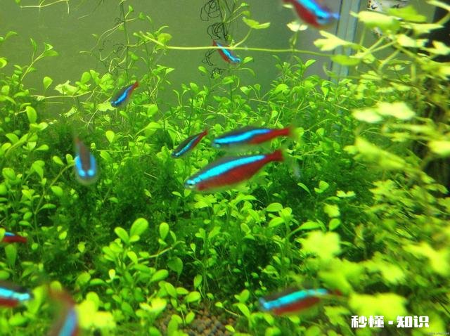 合肥清溪小镇适合儿童游玩吗