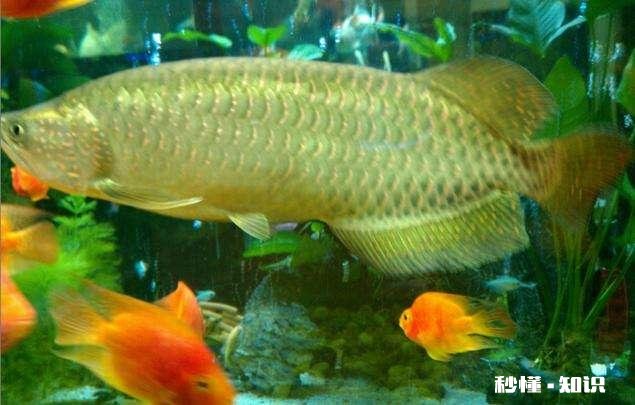 合肥清溪小镇适合儿童游玩吗