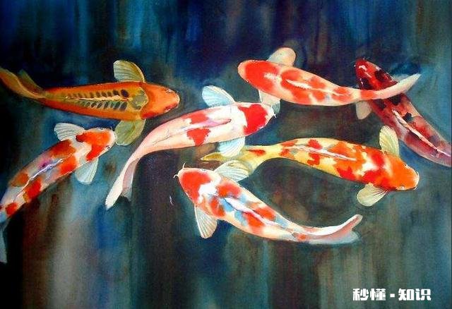 合肥清溪小镇适合儿童游玩吗