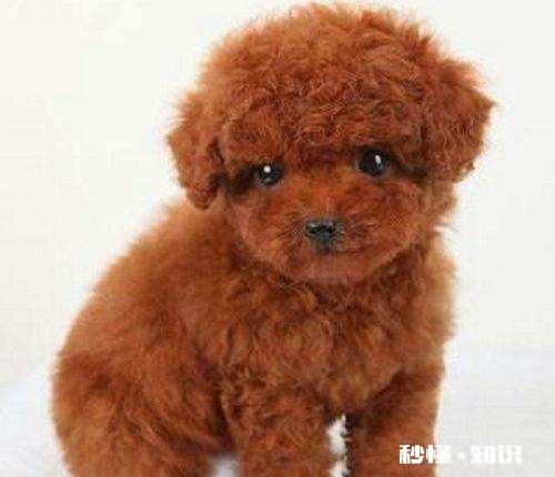 合肥清溪小镇适合儿童游玩吗