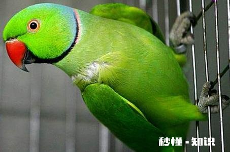 合肥清溪小镇适合儿童游玩吗