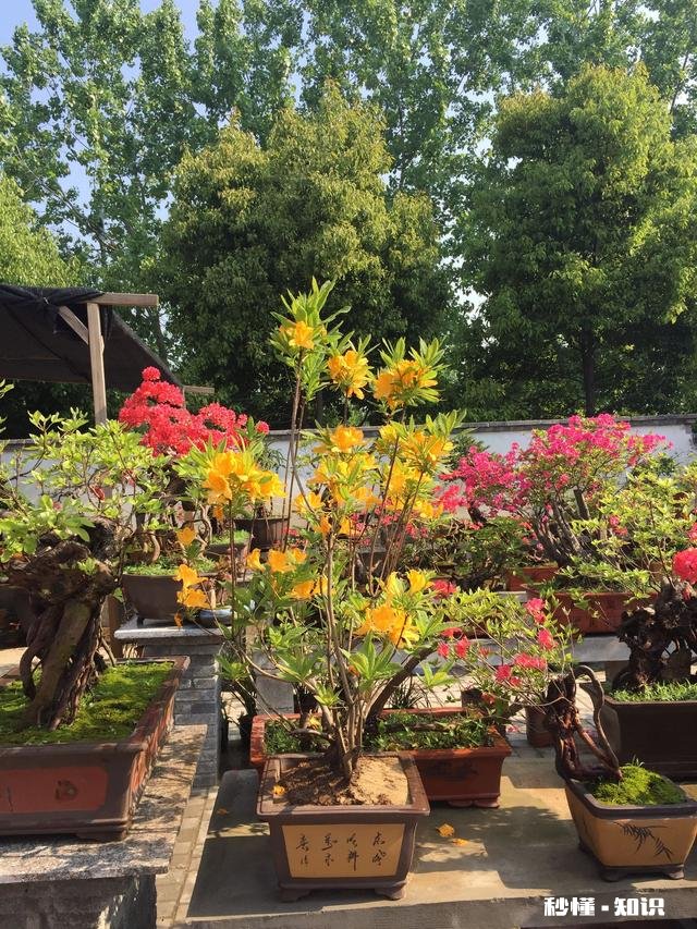 合肥清溪小镇适合儿童游玩吗