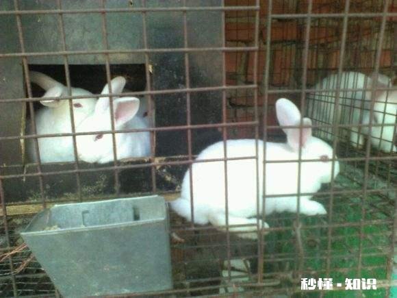 合肥清溪小镇适合儿童游玩吗