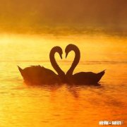 结婚后发现老公是个不负责任的人该怎么办