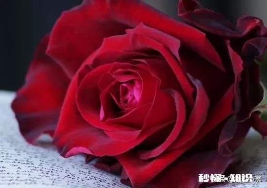 患得患失真的好么