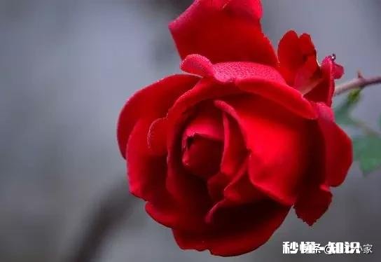 患得患失真的好么