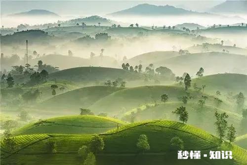 现代孩子的不良习惯究竟是什么原因造成的