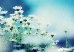 什么叫朋友你是怎么看待的