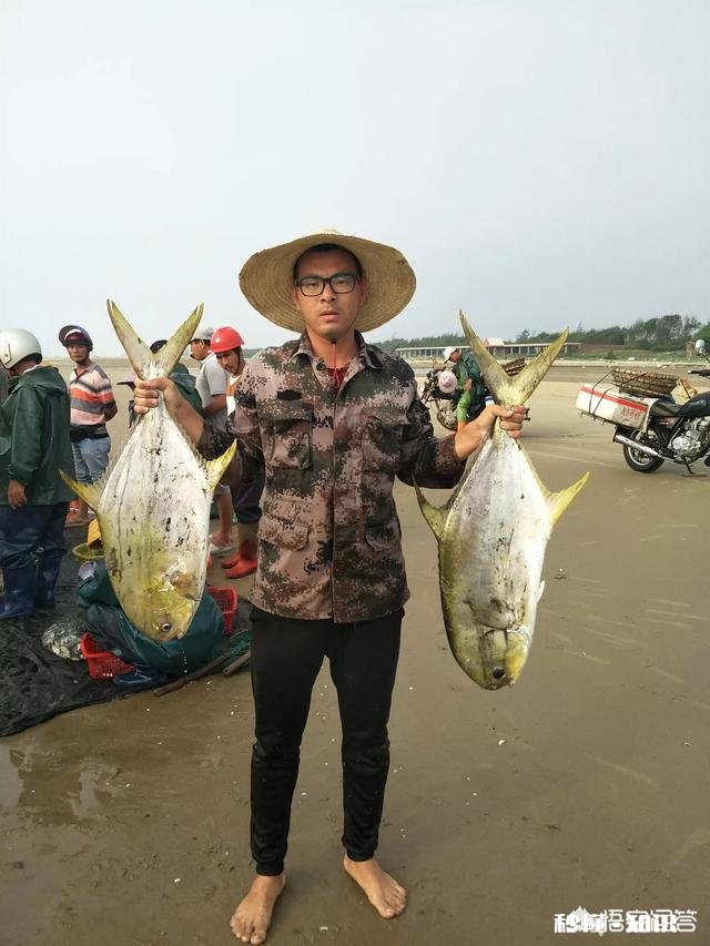 拍短视频卖海鲜怎样做内容