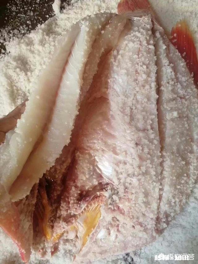 拍短视频卖海鲜怎样做内容