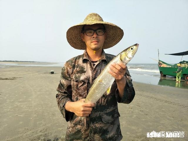 拍短视频卖海鲜怎样做内容