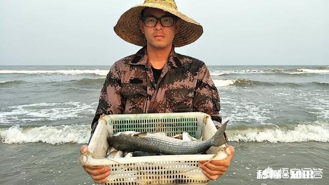 拍短视频卖海鲜怎样做内容