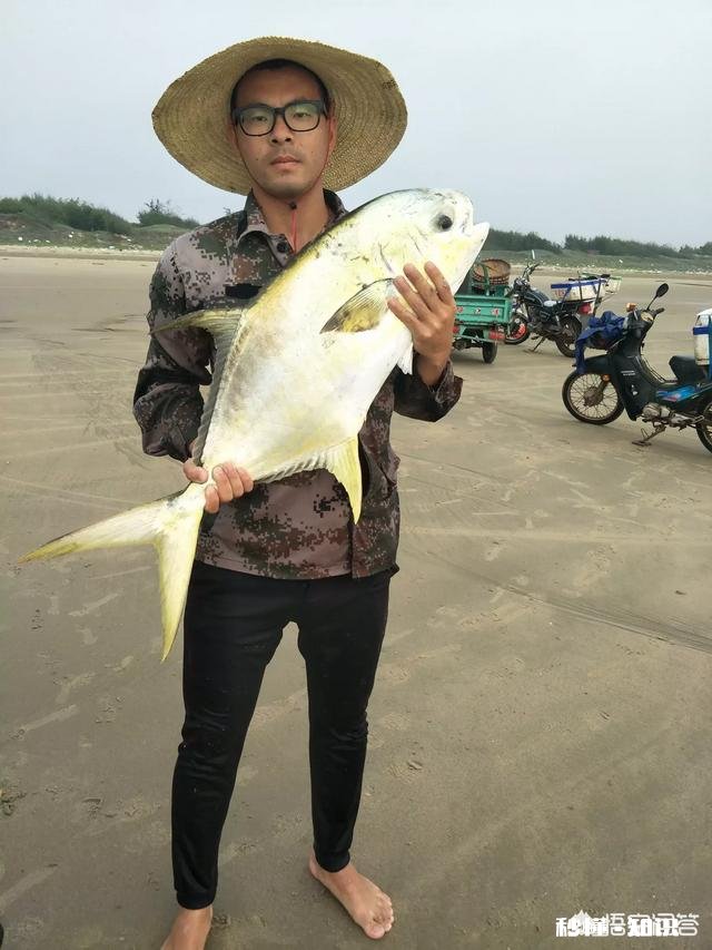 拍短视频卖海鲜怎样做内容