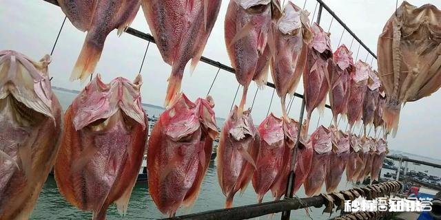 拍短视频卖海鲜怎样做内容