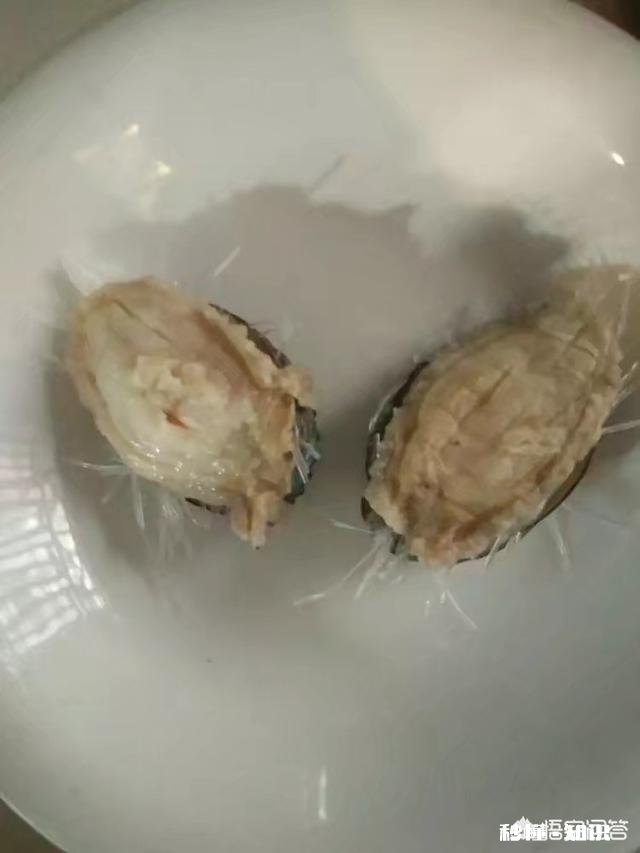 拍短视频卖海鲜怎样做内容