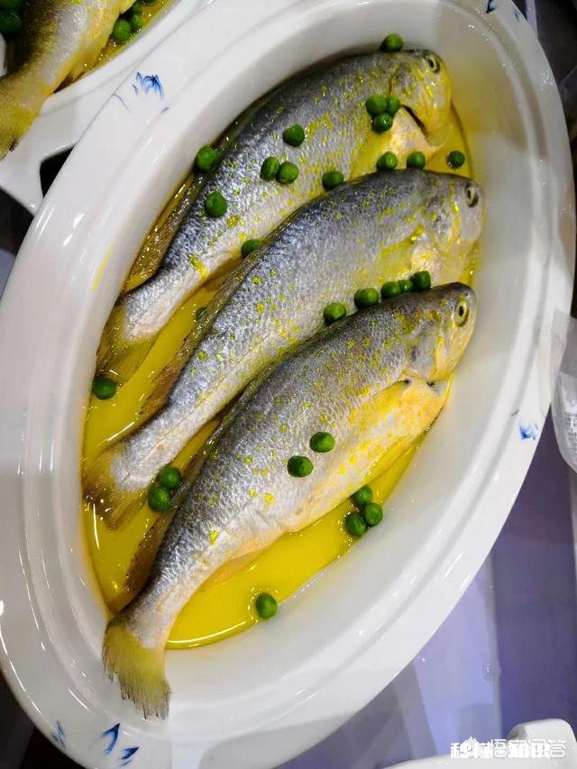 拍短视频卖海鲜怎样做内容