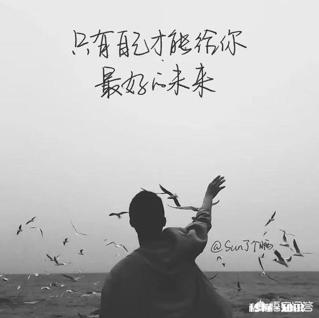 头条自媒体中，湘妹小北，乡村小乔，巧妇九妹，小六搞野，光哥你们最喜欢哪个