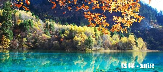 四川有什么特色节庆