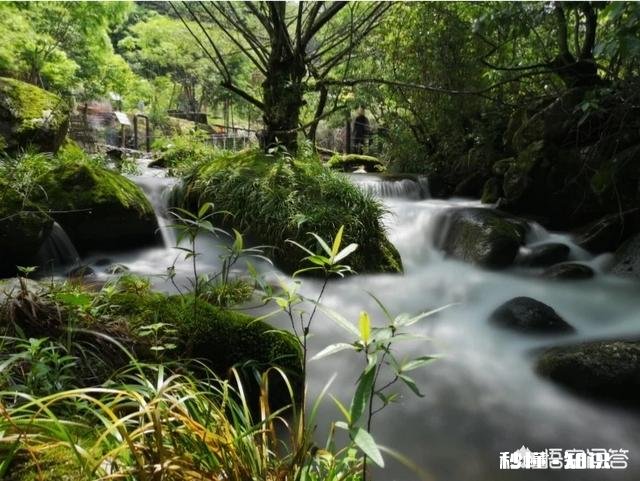 有哪些让你朝思暮想魂牵梦绕的旅游地点