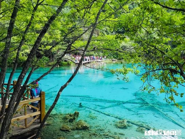 有哪些让你朝思暮想魂牵梦绕的旅游地点