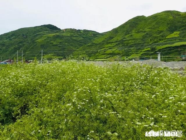 有哪些让你朝思暮想魂牵梦绕的旅游地点