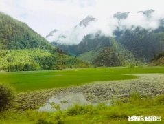 有哪些让你朝思暮想魂牵梦绕的旅游地点