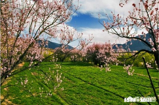 有哪些让你朝思暮想魂牵梦绕的旅游地点