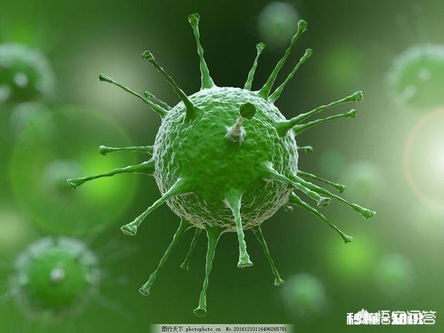 宝宝出现心肌炎，怎样护理有利于减少心肌损害