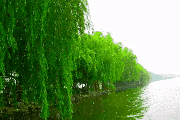 不娶射手座女人做老婆的20个理由