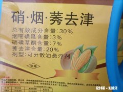 农药在除草的时候是如何做到自动识别哪个是草哪个是秧苗呢