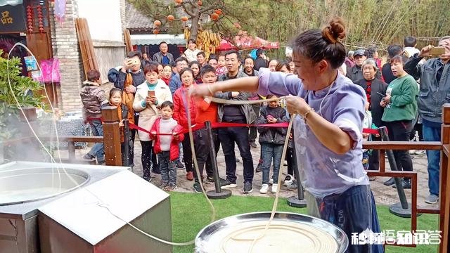 在河南开一家做什么面的面馆比较好