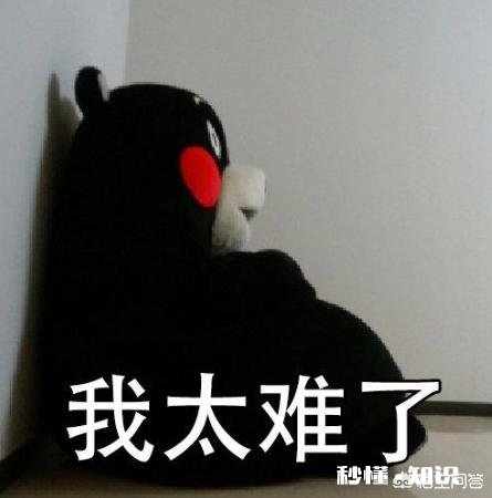 你是从什么时候感觉到世道艰难的