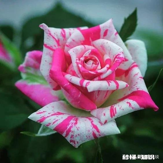 昨天是我老婆生日，但是我忘记了，没准备礼物，她回家后一直不开心，怎么办