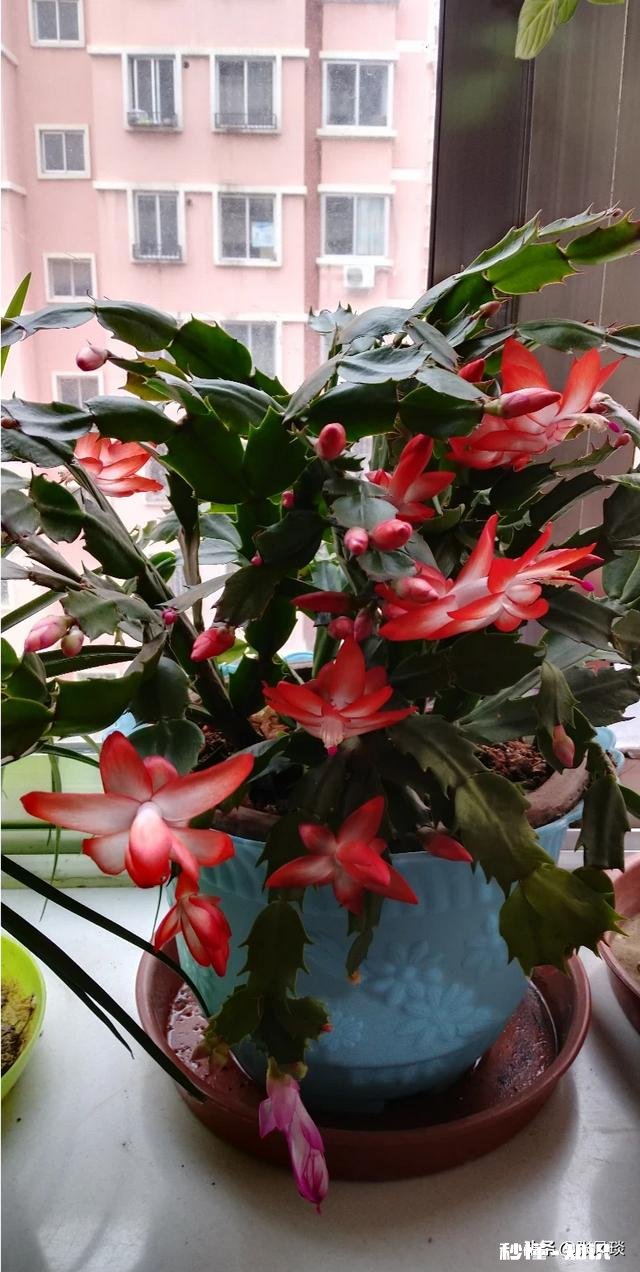 昨天是我老婆生日，但是我忘记了，没准备礼物，她回家后一直不开心，怎么办