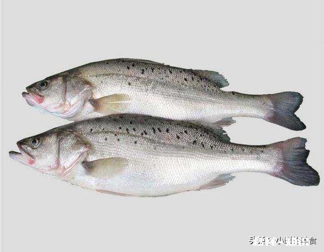 什么鱼刺少比较好吃