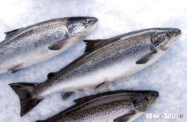 什么鱼刺少比较好吃