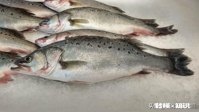 什么鱼刺少比较好吃