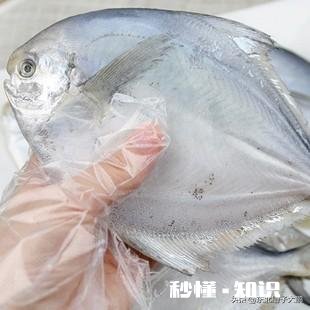 什么鱼刺少比较好吃