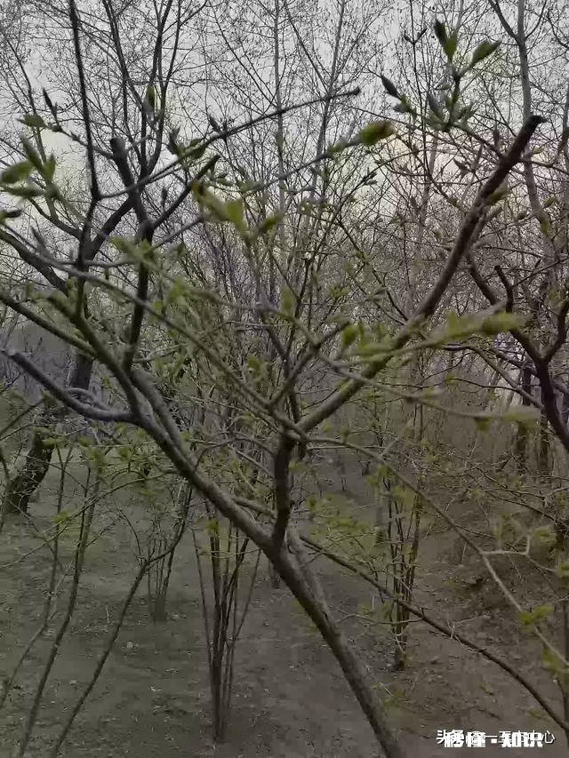 人生不谈输赢，只有活得值与不值，您对人生有何新感悟