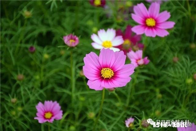 一个爱自己的女孩到底有多自私