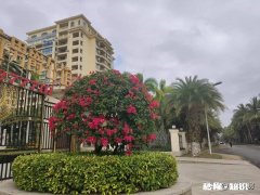 房产交易中，是先交钱还是先过户有什么需要注意的