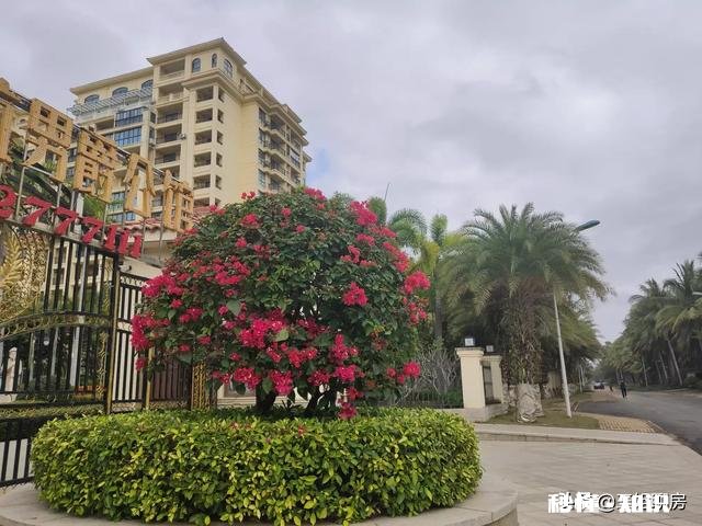 房产交易中，是先交钱还是先过户有什么需要注意的