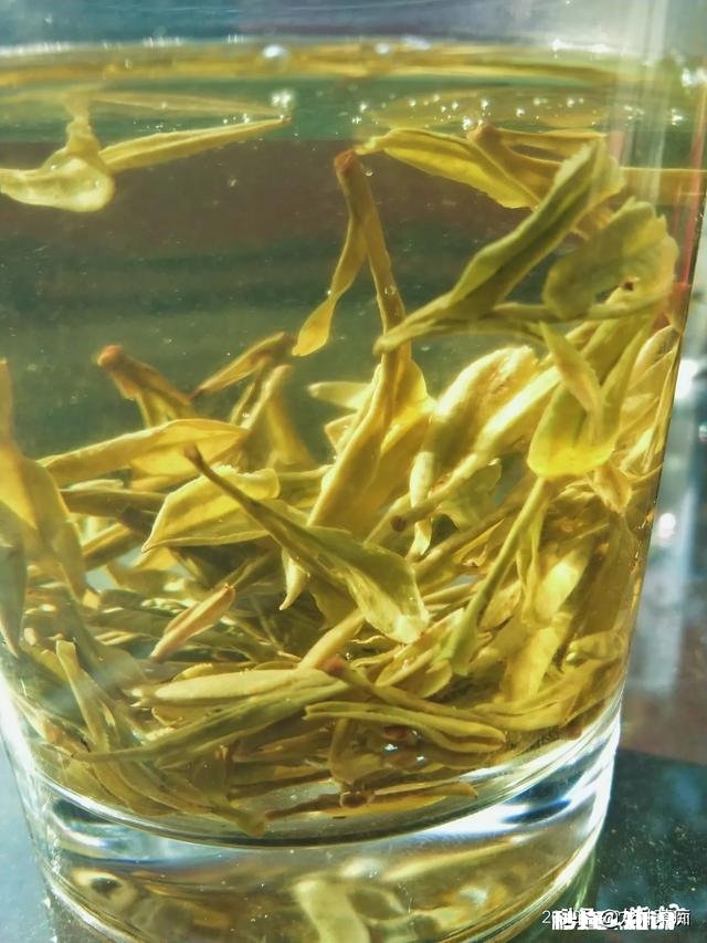 江西境内的春茶，哪一种茶比较好