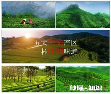 江西境内的春茶，哪一种茶比较好