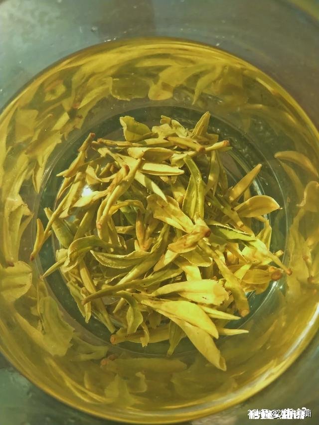 江西境内的春茶，哪一种茶比较好